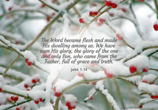 Carrying Christmas Into the New Year