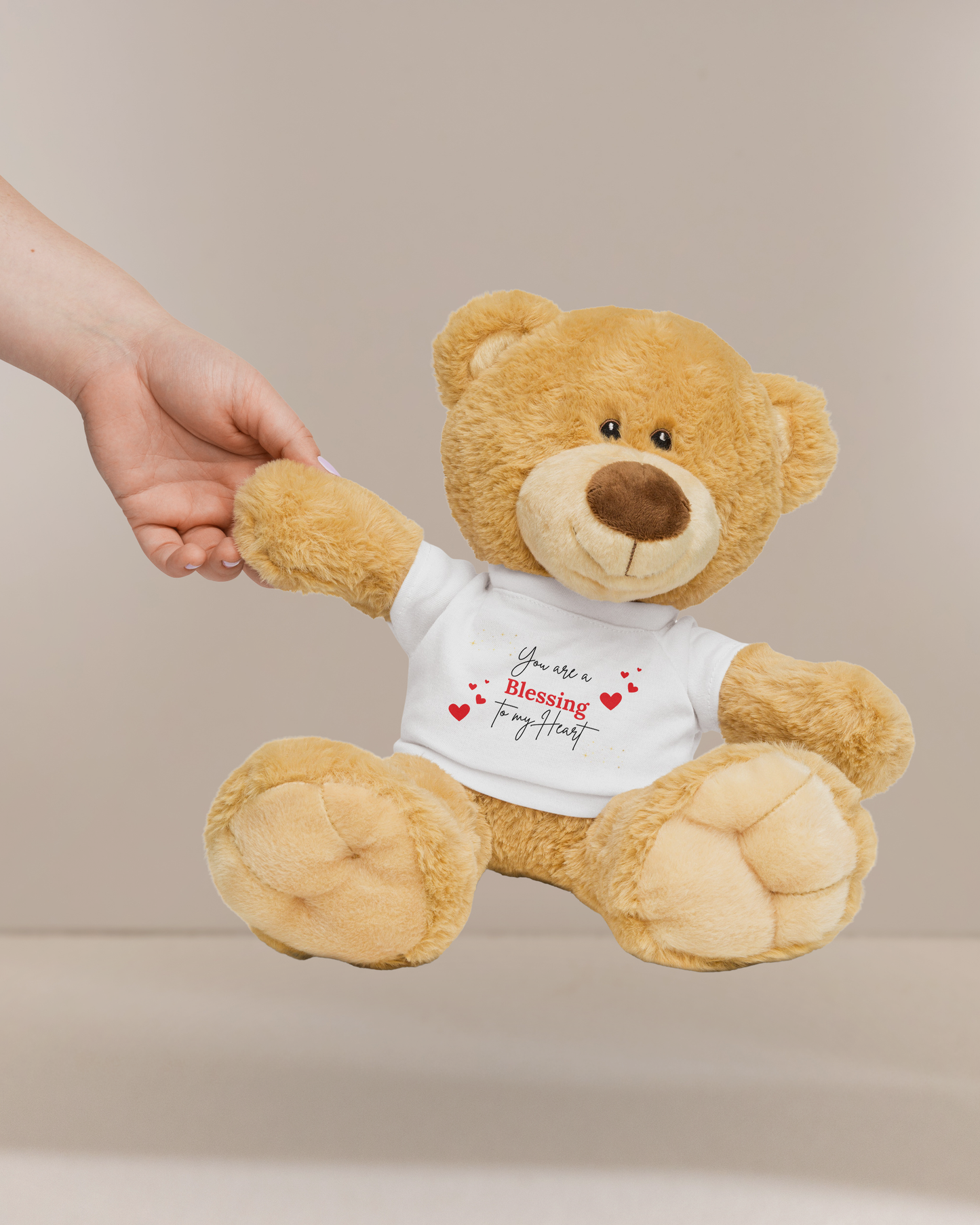 You are a Blessing to my Heart Teddy Bear with a T-shirt Christian Gift