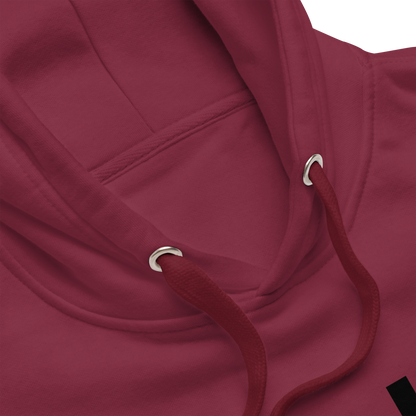 Created With a Purpose Christian Unisex Hoodie - Wear Your Worth